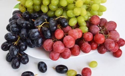 Подготовка винограда к вину. Вино из винограда в домашних условиях 6 рецептов получить прекрасный напиток