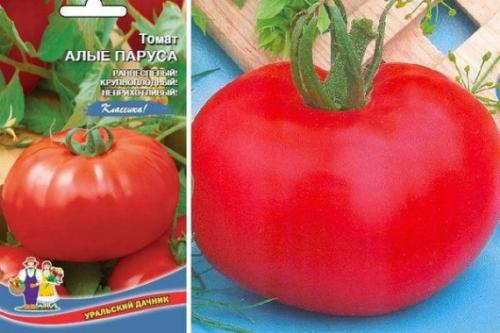 Томаты высокорослые крупноплодные. Высокорослые томаты для теплиц: высокоурожайные