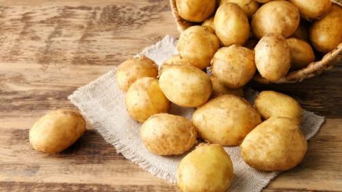 Картофель сорт яна. Высокоурожайный, среднеспелый сорт картофеля с мощной корневой системой «Янка»