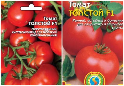 Томат толстой. Характеристика и описание сорта томата Толстой, его урожайность и выращивание
