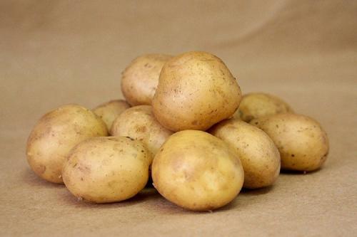Сорт картофеля Гала. Описание сорта картофеля Гала