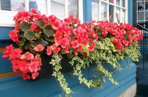 Какие типы крыш можно использовать для отдельно стоящей террасы на даче Какие типы крыш можно использовать для отдельно стоящей террасы на даче