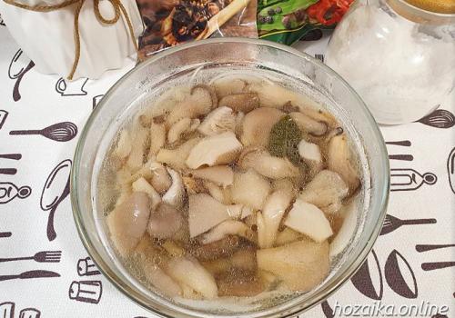 Маринуем вешенки в домашних условиях. Маринованные вешенки в домашних условиях быстро и вкусно