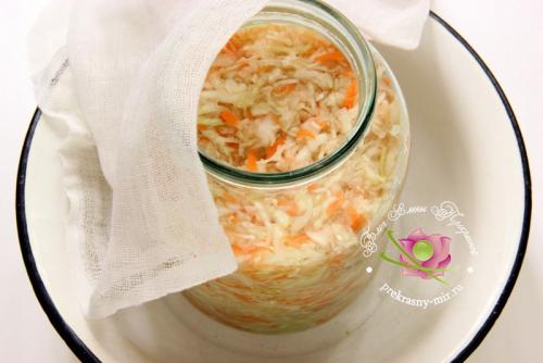 Квашеная капуста с сахаром и солью без воды. Квашеная капуста в собственном соку: рецепт с фото