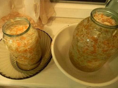 Квашеная капуста с водой из под крана. Квашеная капуста на зиму