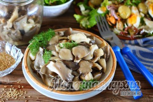 Маринованные вешенки хрустящие.