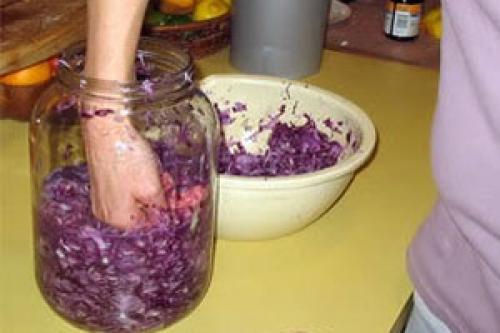 Солить краснокочанную капусту на зиму. Как приготовить рецепт Капуста краснокочанная квашеная
