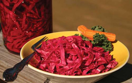 Какие специи и приправы лучше всего использовать при солении краснокочанной капусты. Засолка краснокочанной капусты