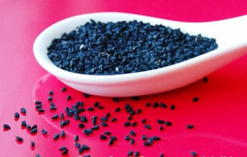 Осенняя посадка семейного лука. Посадка семейного лука под зиму