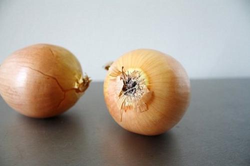 Какой лук севок сажать под зиму. Популярные озимые сорта