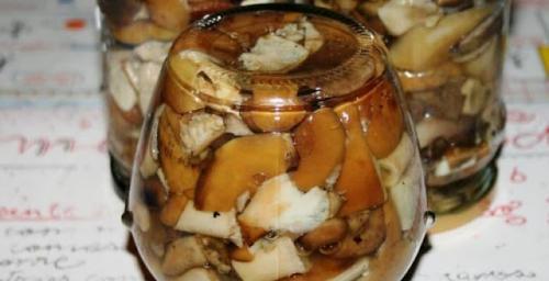 Подтопольники маринованные. Маринованные подтопольники на зиму: рецепты пикантной закуски