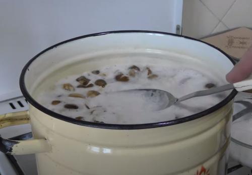 Грибы подтопольники мариновать. Как мариновать подтопольники на зиму