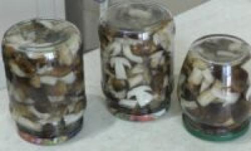 Подтопольники маринованные. Маринованные подтопольники на зиму: рецепты пикантной закуски