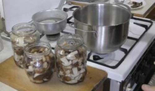 Подтопольники маринованные. Маринованные подтопольники на зиму: рецепты пикантной закуски