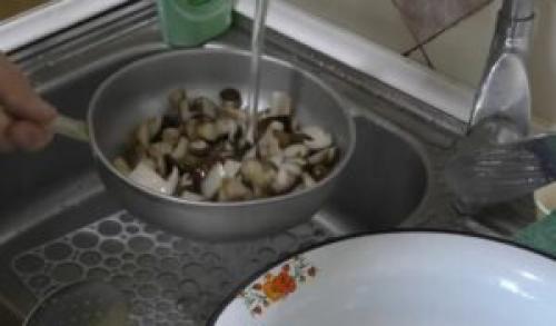 Подтопольники маринованные. Маринованные подтопольники на зиму: рецепты пикантной закуски