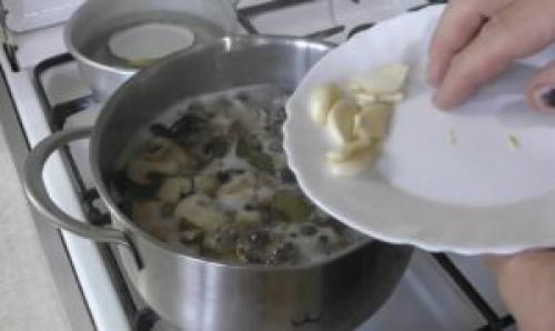 Подтопольники маринованные. Маринованные подтопольники на зиму: рецепты пикантной закуски