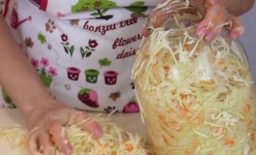 Квашеная капуста в банке без рассола. Вкусная и хрустящая квашеная капуста на зиму: классический рецепт