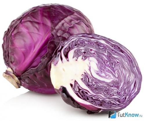 Краснокочанная маринованная капуста: полезные свойства и простые рецепты 10 Краснокочанная маринованная капуста: полезные свойства и простые рецепты 10