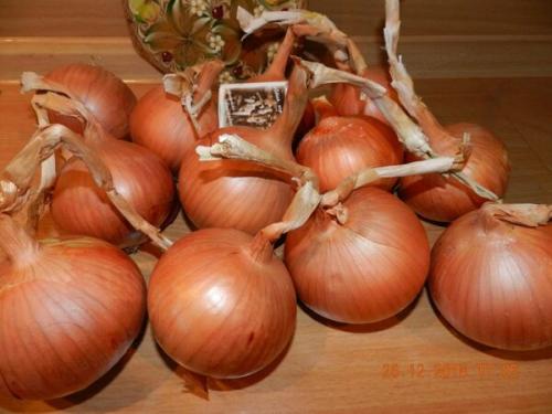 Лук посадка в зиму в сибири. Добавление статьи в новую подборку 03