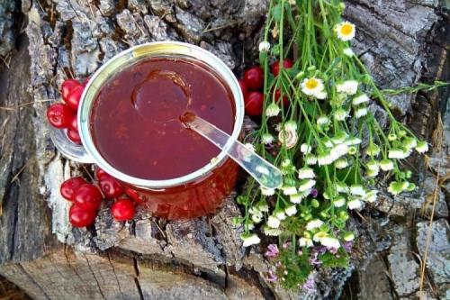 Можно ли есть плоды боярышника Паул Скарлет в свежем виде. 20 отличных рецептов, что приготовить с боярышником