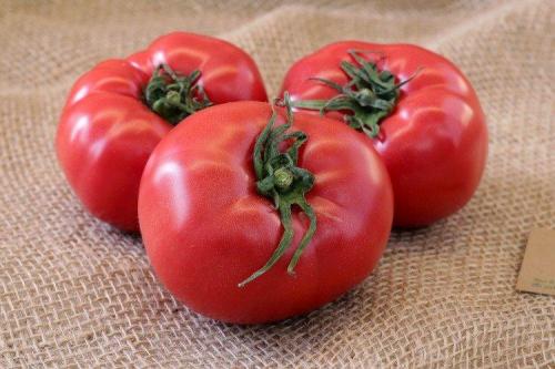 Сорта розовых томатов для открытого грунта.. Розовые помидоры: лучшие сорта с фото и названиями (каталог)