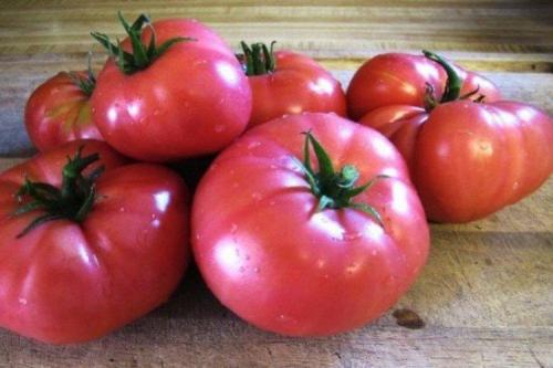Сорта розовых томатов для открытого грунта.. Розовые помидоры: лучшие сорта с фото и названиями (каталог)