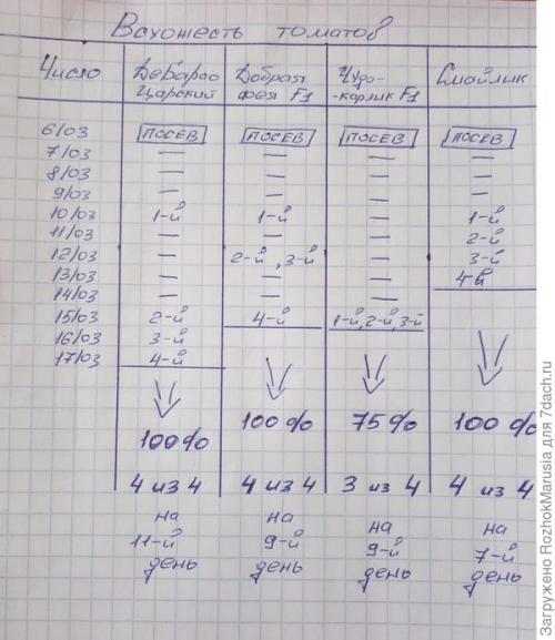 Лучшие сорта томатов фирмы аэлита. Пару сортов, два гибрида - итого четыре вида! Начинаем тестирование томатов от Аэлиты