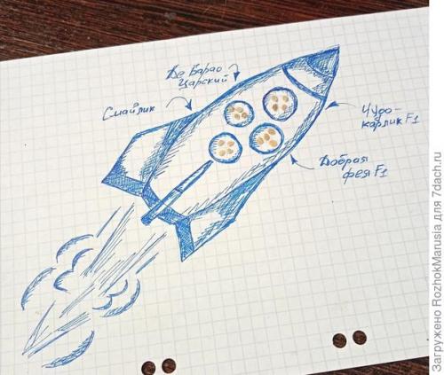 Лучшие сорта томатов фирмы аэлита. Пару сортов, два гибрида - итого четыре вида! Начинаем тестирование томатов от Аэлиты