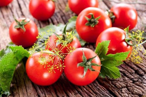 Высокоурожайные сорта томатов. Лучшие сорта томатов для теплиц: фото, названия и описания (каталог)