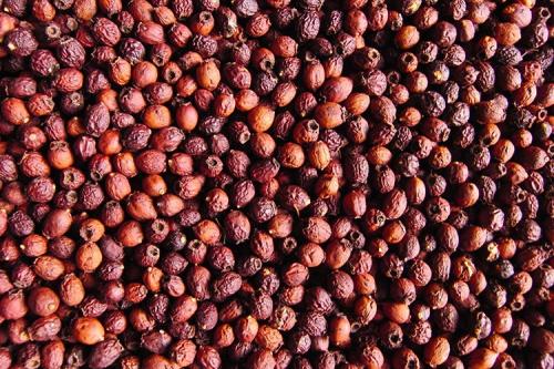 Как собирать и сушить плоды боярышника 'Поль Скарлет. Методы сушки ягод