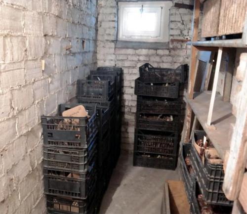 Как убрать георгины. Как правильно хранить георгины зимой, когда выкапывать клубни?