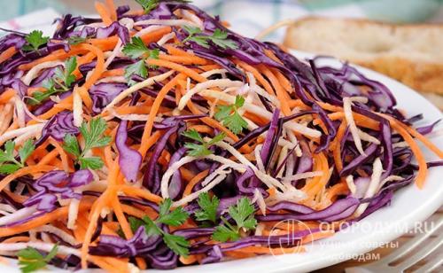 Как замариновать краснокочанную капусту быстрого приготовления. Домашние рецепты