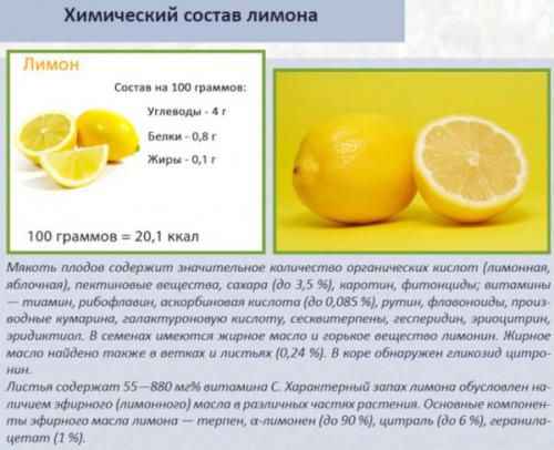 Лимон уход в домашних условиях. Лимон комнатный. Уход, обрезка и размножение в домашних условиях
