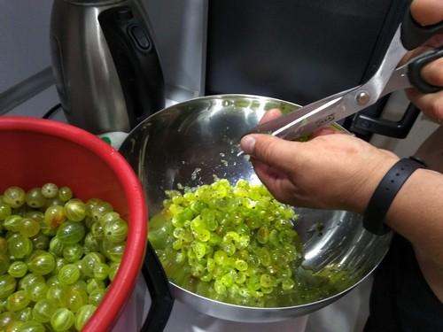 Как выбрать правильный крыжовник для варенья. 7 советов по приготовлению варенья из крыжовника