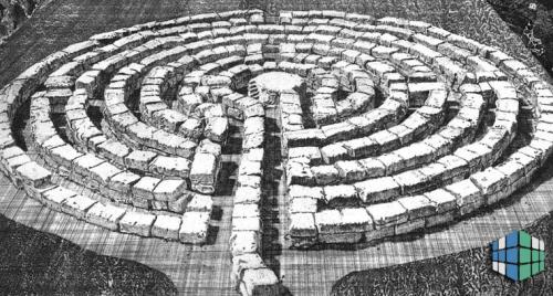 Хитрый способ посадки клубники: как я добиваюсь высокого урожая уже много лет 02