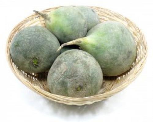 Белая Редька при диабете. Рекомендации