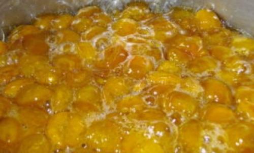 Варенье из желтых слив с апельсином. Варенье из желтой сливы на зиму