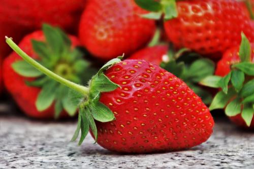 Каковы преимущества посадки клубники вуемый месяц. Летом или осенью? Когда посадить клубнику и как за ней ухаживать, чтобы получить богатый урожай