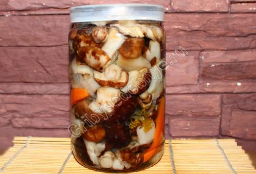 Как мариновать морозики. Рецепт маринования рядовок тополиных (подтопольников)