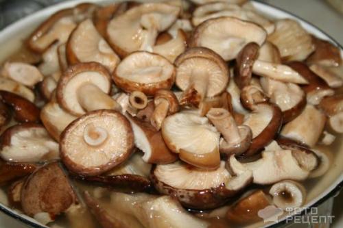 Засолка рядовок горячим способом. Рецепт: Грибы соленые - горячим способом