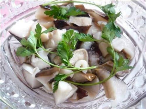 Засолка грибов рядовка на зиму. Засолка грибов мышат по-холодному