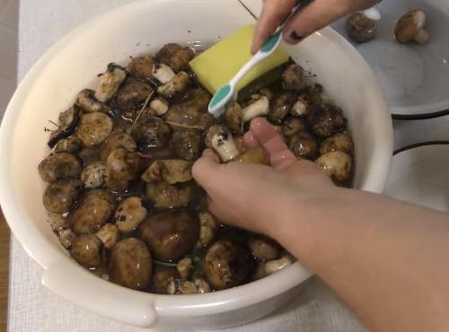 Соленые подтопольники рецепт. Как мариновать подтопольники на зиму