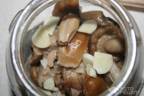 Засолка рядовок горячим способом. Рецепт: Грибы соленые - горячим способом