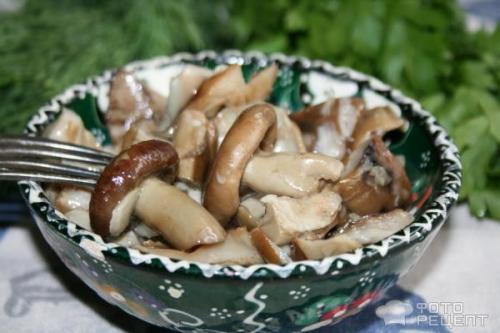 Засолка рядовок горячим способом. Рецепт: Грибы соленые - горячим способом