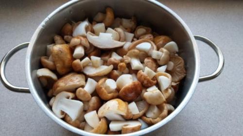 Как солить подтопольники быстро. Солим подтопольники