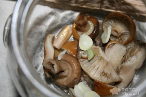 Засолка рядовок горячим способом. Рецепт: Грибы соленые - горячим способом