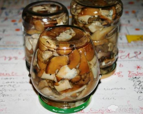 Засолка рядовок горячим способом. Рецепт: Грибы соленые - горячим способом