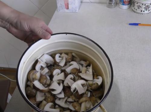 Соленые подтопольники рецепт. Как мариновать подтопольники на зиму