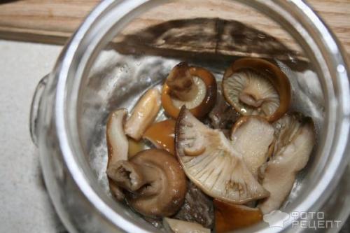 Засолка рядовок горячим способом. Рецепт: Грибы соленые - горячим способом