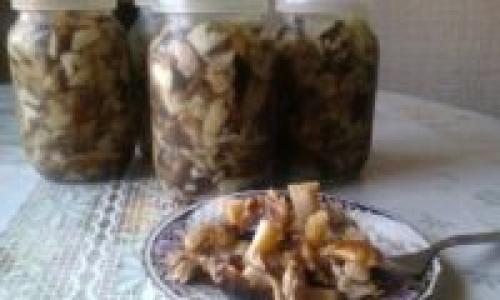 Подтопольники маринованные на зиму. Маринованные подтопольники на зиму: рецепты пикантной закуски